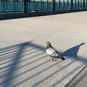 Meet your Posher, Kasia